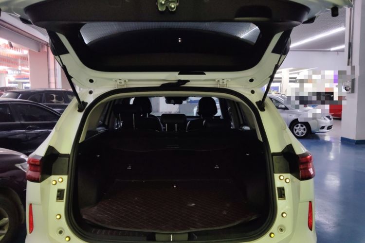 Used Haval H6 2021 3rd Generation 2.0T Automatic Two-Wheel Drive Max
