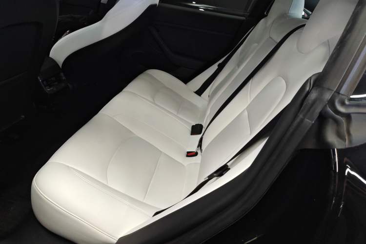 Used Tesla Model 3 2021 Standard Range Rear-Wheel Drive Upgraded Version 3D6