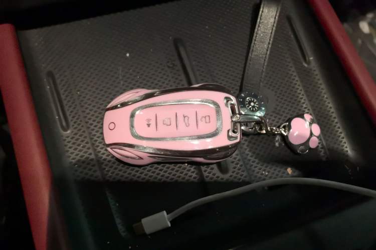 Used Tank 300 2025 2.0T Conqueror