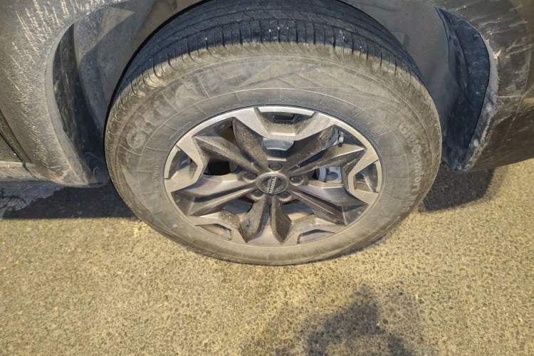 Used Haval DARGO 2024 2.0T DCT Chinese Rural Dog Edition
