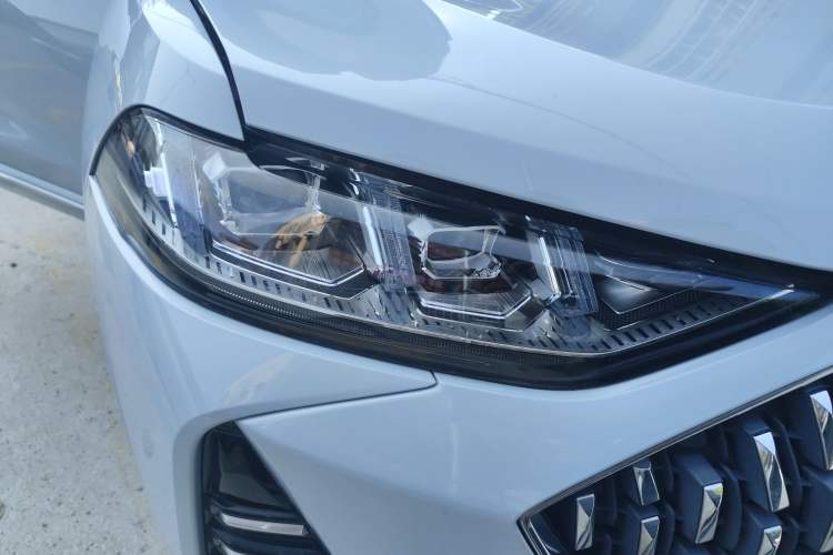 Used Wey Mocha 2021 2.0T Two-Wheel Drive Special Edition
