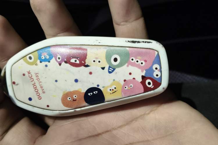 Used BYD Qin L 2024 DM-i 80KM Leading Model Vehicle Key