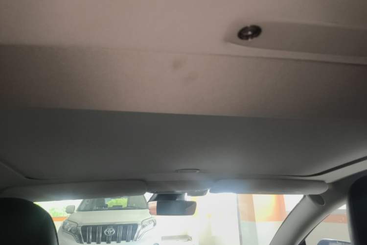 Used Tesla Model 3 2020 Long-Range Rear-Wheel-Drive Version Headliner