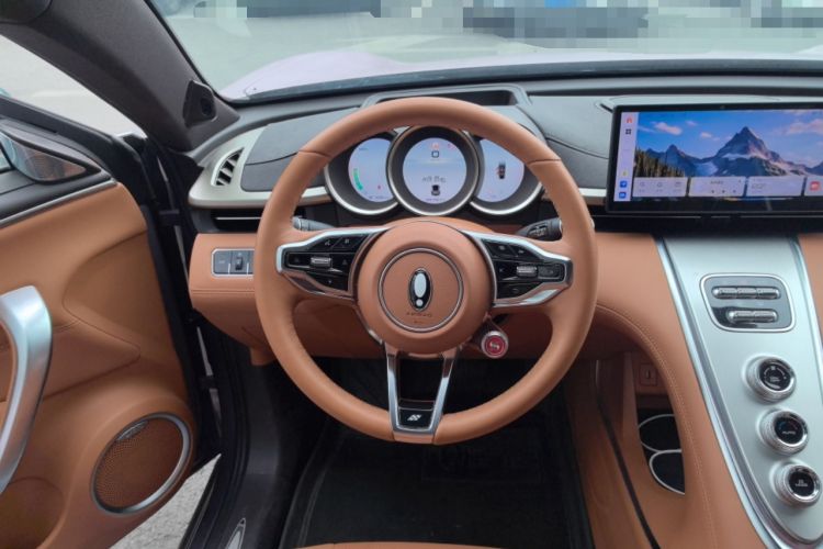 Used ORA Lightning Cat 2022 600 km All-Wheel Drive High-Performance Version Steering Wheel