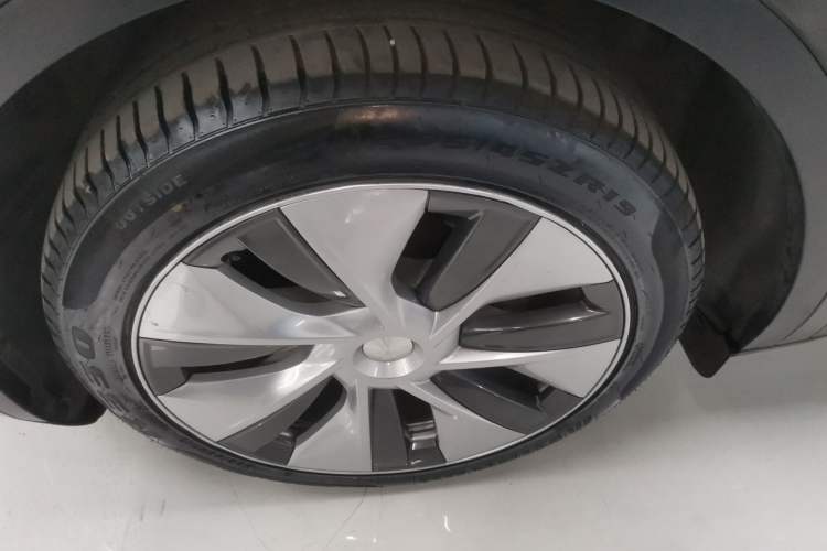 Used Tesla Model Y 2021 Standard Range Rear-Wheel Drive Version
