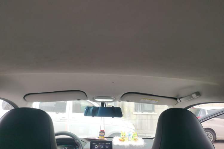 Used Chery Little Ant 2024 251km True Love Edition