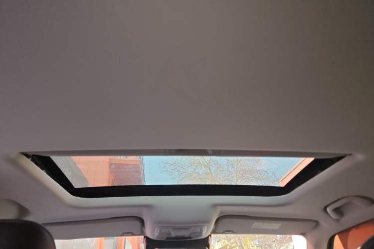 Used Tank 300 2021 Off-Road Edition 2.0T Conqueror
