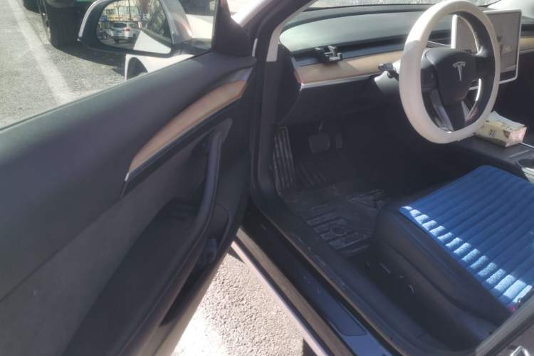 Used Tesla Model 3 2022 Rear-Wheel-Drive Version