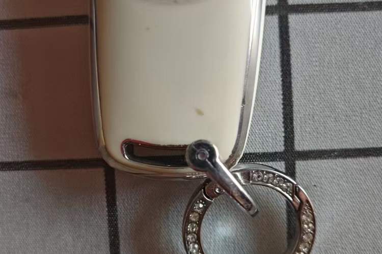 Used ORA Good Cat 2021 400km Standard Range Athena Edition Lithium-Ion Battery