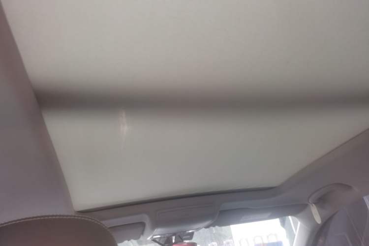 Used Volkswagen Tiguan L 2020 330TSI Automatic Two-Wheel Drive Smart Luxury Edition China VI Standard Headliner