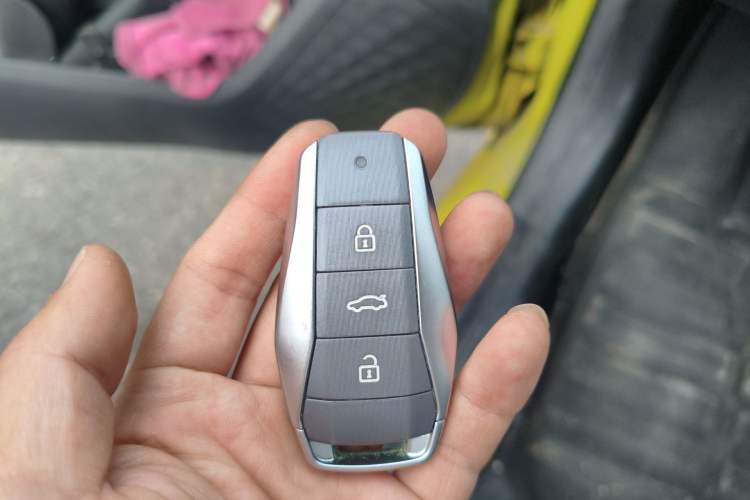 Used SOL E10X 2022 Flower Fairy Design Four-Leaf Clover
