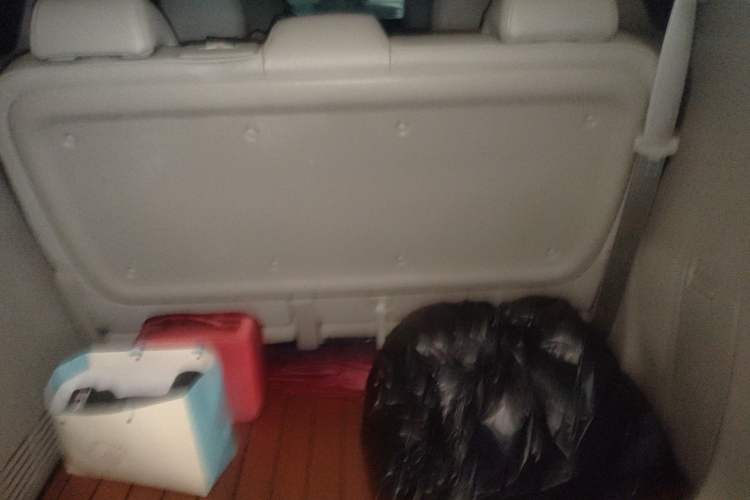 Used Buick GL8 2017 25S Luxury Version China V Standard