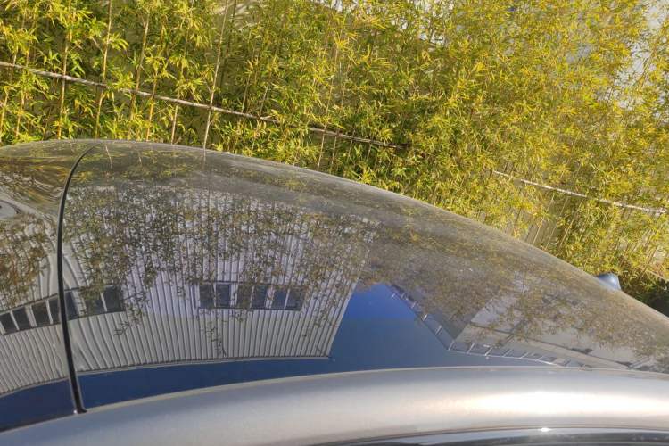 Used IM LS6 2023 Max Extended-Range Version