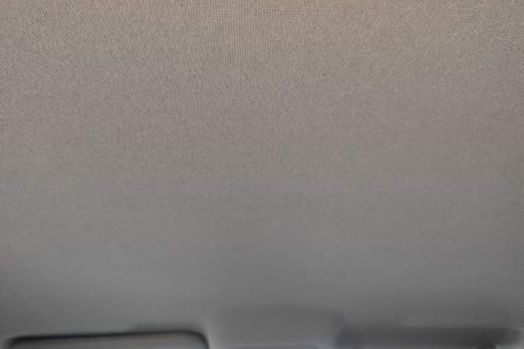 Used BYD e2 2023 Comfort Model Headliner