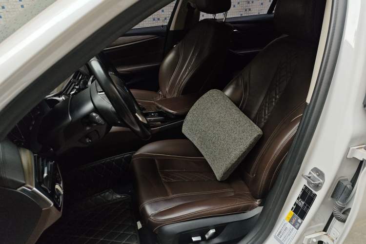 Used BMW 5 Series New Energy 2019 530Le Luxury Package Left Front Seat