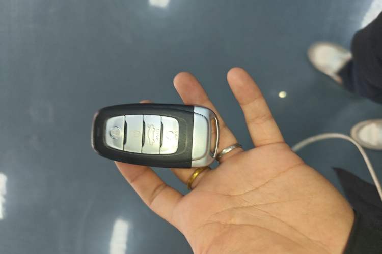 Used Hongqi H9 2022 2.0T Smart Connect Flagship Edition