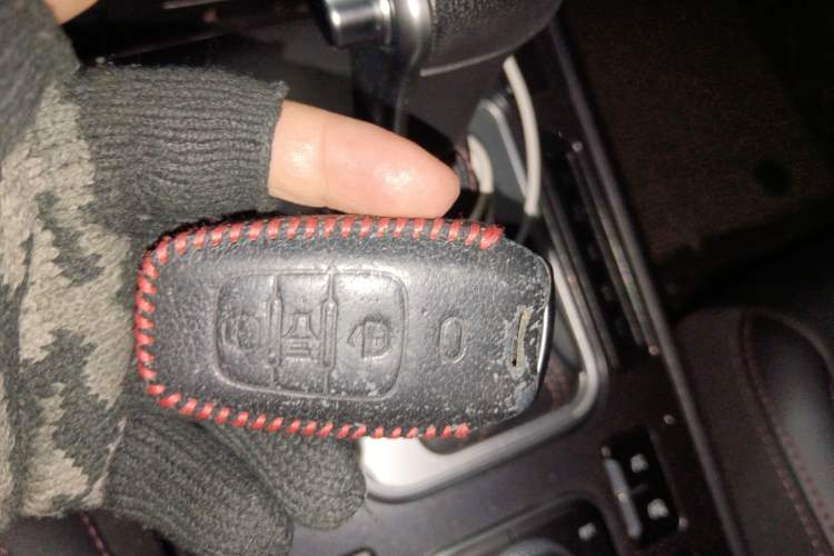 Used Haval H6 Coupe 2018 Red-Label 1.5T Automatic Two-Wheel Drive Ultra-Luxury Model