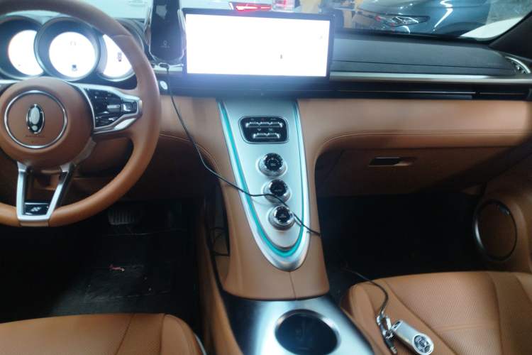 Used ORA Lightning Cat 2022 555 km Luxury Edition