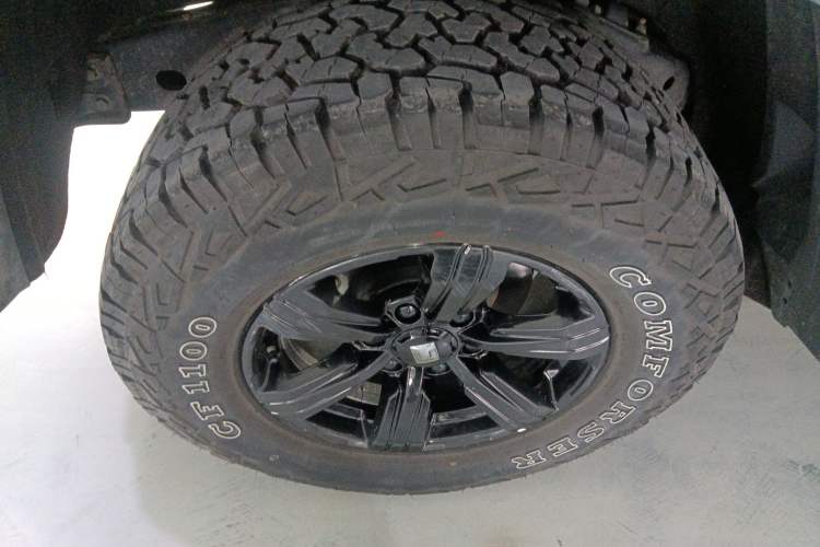 Used Tank 300 2021 Off-Road Edition 2.0T Conqueror
