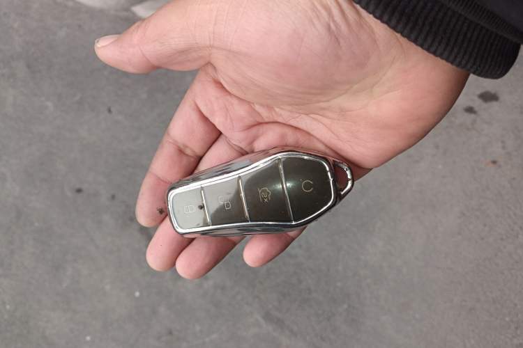 Used BYD e2 2021 Luxury Model