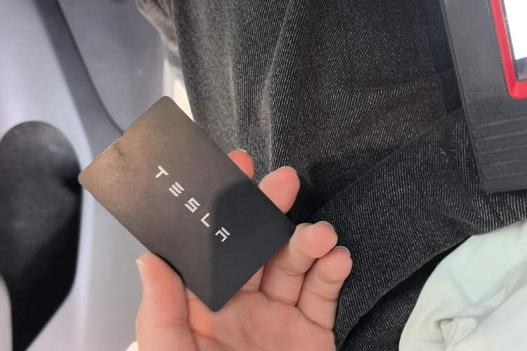 Used Tesla Model Y 2021 Standard Range Rear-Wheel Drive Version
