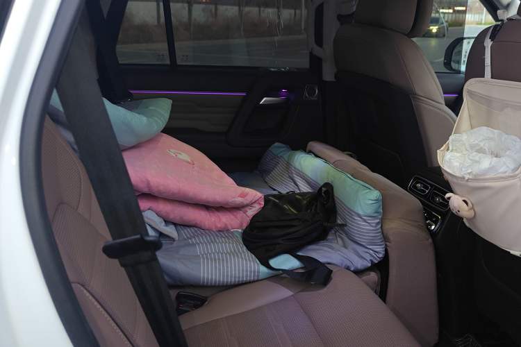 Used BAIC Off-Road BJ60 2022 2.0T Version 11 Five Seats Left Rear Seat