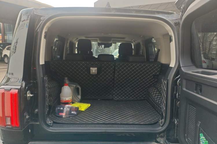 Used Tank 300 2024 2.0T Conqueror