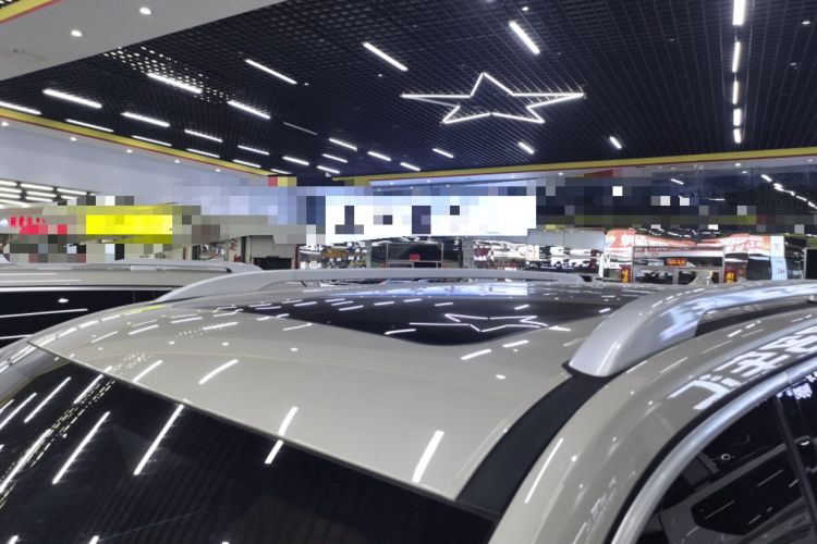 Used Tank 500 New Energy 2023 Hi4-T Roof