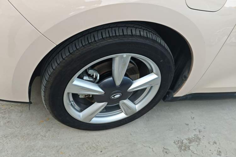 Used ORA Good Cat 2022 Morandi Edition 400km Standard Range Premium Version Lithium Iron Phosphate
