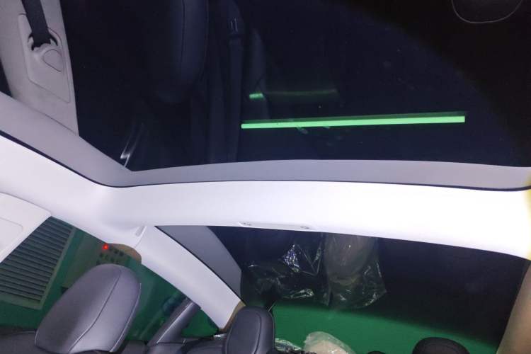 Used Tesla Model 3 2022 Rear-Wheel-Drive Version Headliner