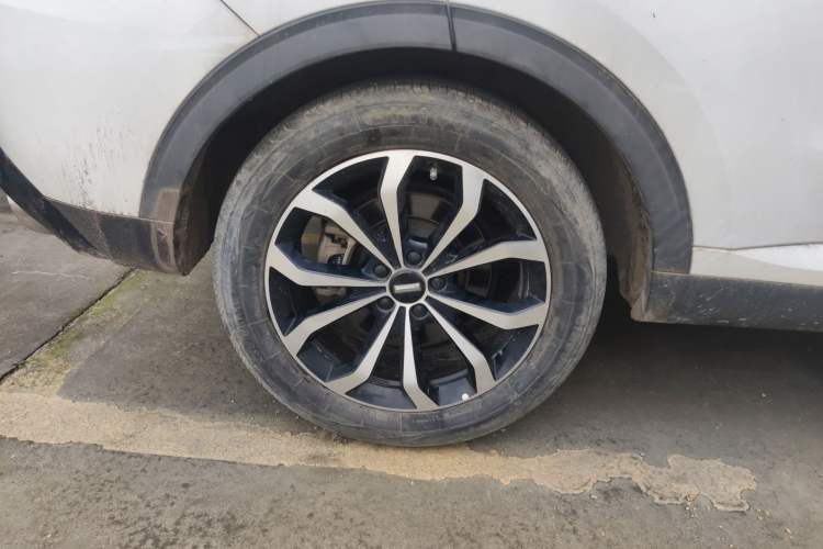 Used Wey VV6 2020 2.0T Four-Wheel Drive Zhiyu+ Exterior 5