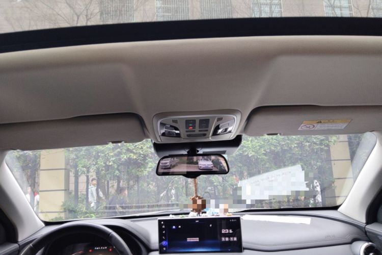 Used Wey VV5 2020 1.5T Two-Wheel Drive Smart Pioneer