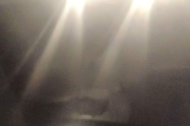 Used Mercedes-Benz S-Class 2022 Revised S 400 L Business Version Headliner