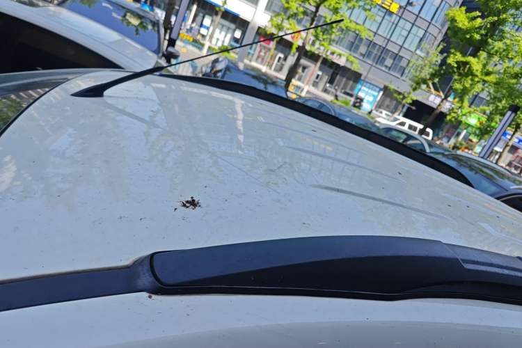 Used Ford EcoSport 2017 1.5L Automatic Trend Model
