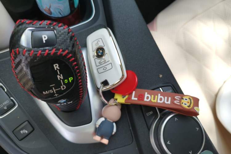 Used BMW 3 Series 2019 320Li Fashion Model Vehicle Key