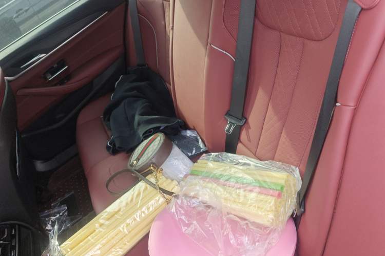 Used BMW 5 Series New Energy 2022 535Le M Sport Package