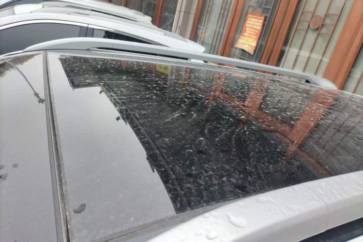 Used Kia Sportage R 2019 2.0L Automatic Smart Luxury Edition