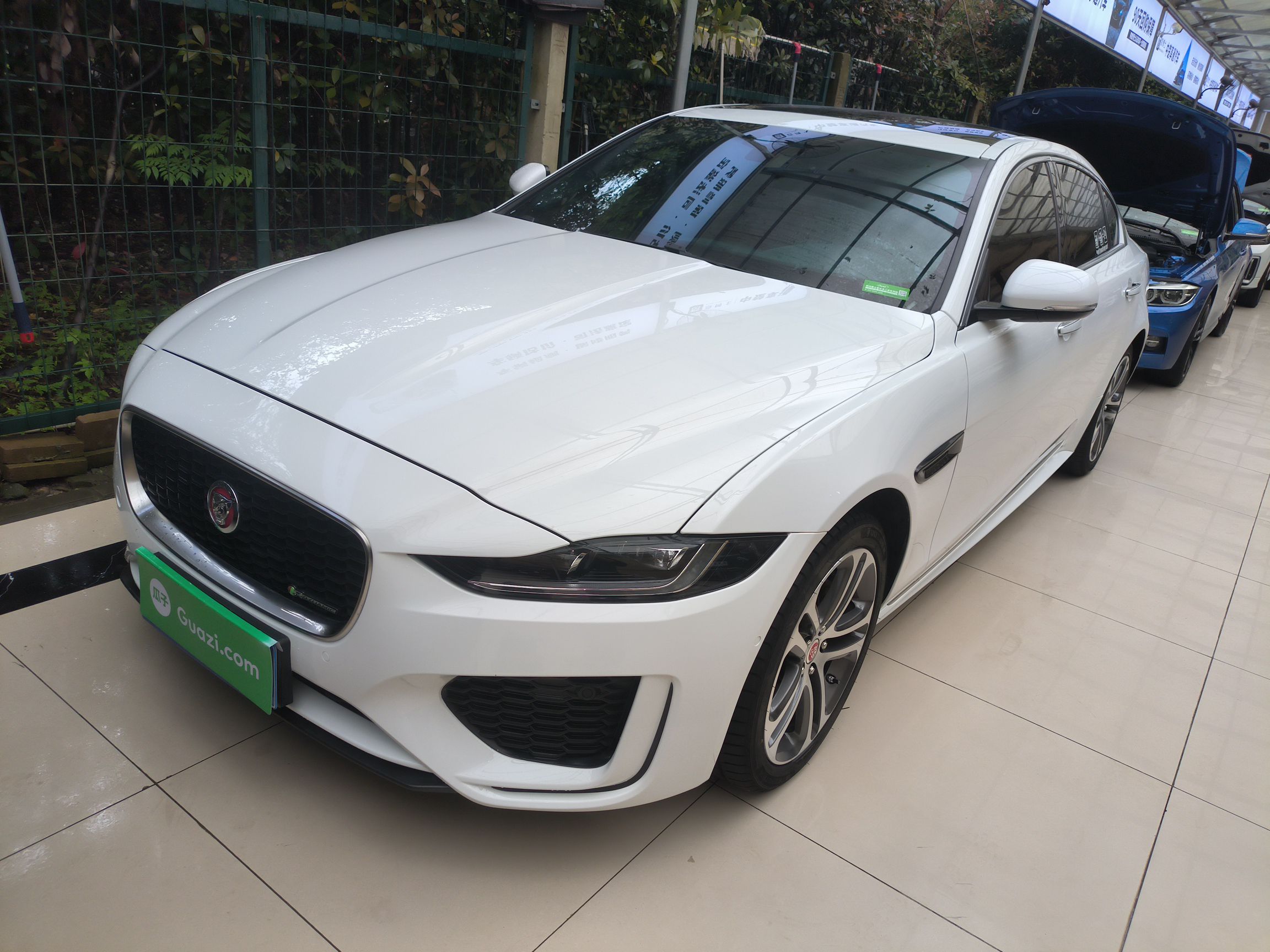 Parte inferior delantera