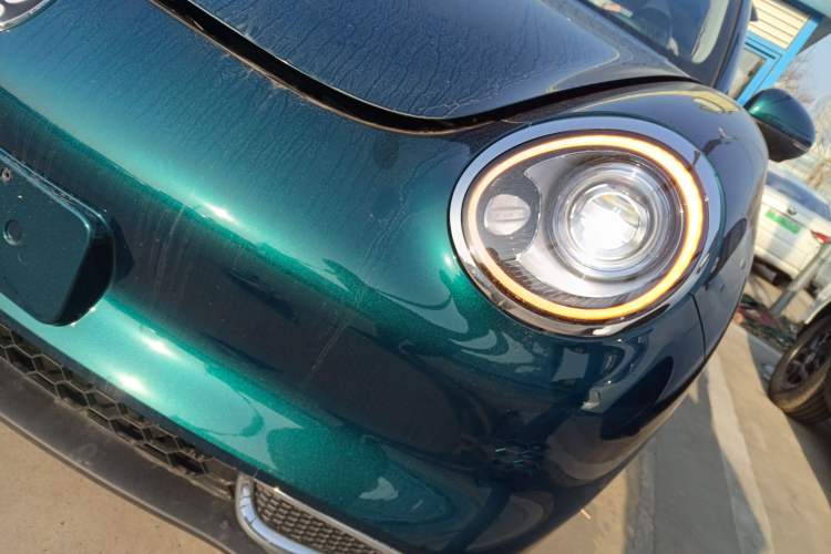 Used ORA Good Cat 2024 401 km Luxury Version