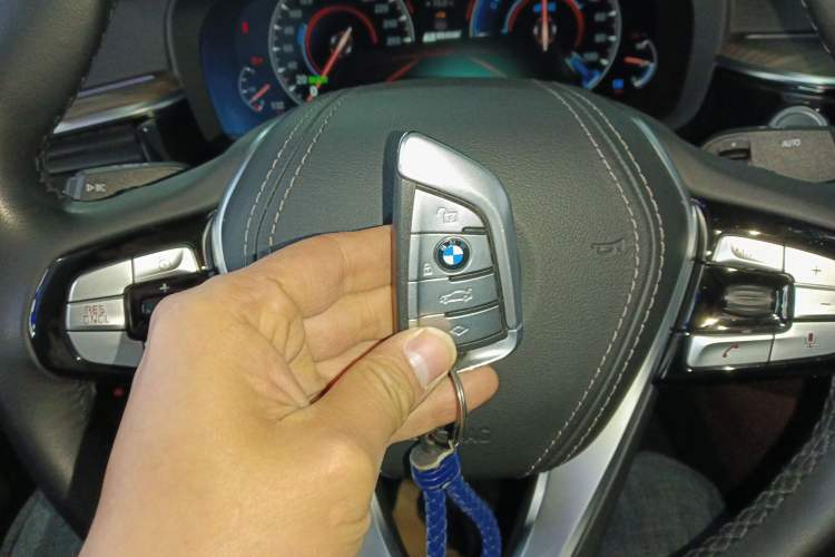 Used BMW 5 Series New Energy 2019 Updated Version 530Le Luxury Package