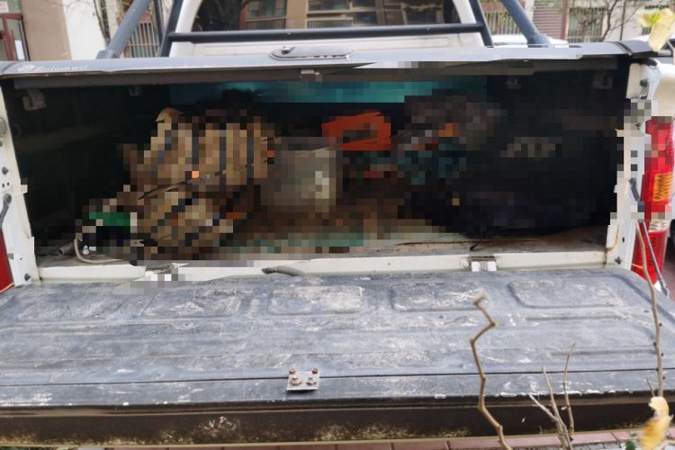 Used Foton Tunland 2018 2.4L E5 Two-Wheel Drive Comfort Version 4G69S4M
