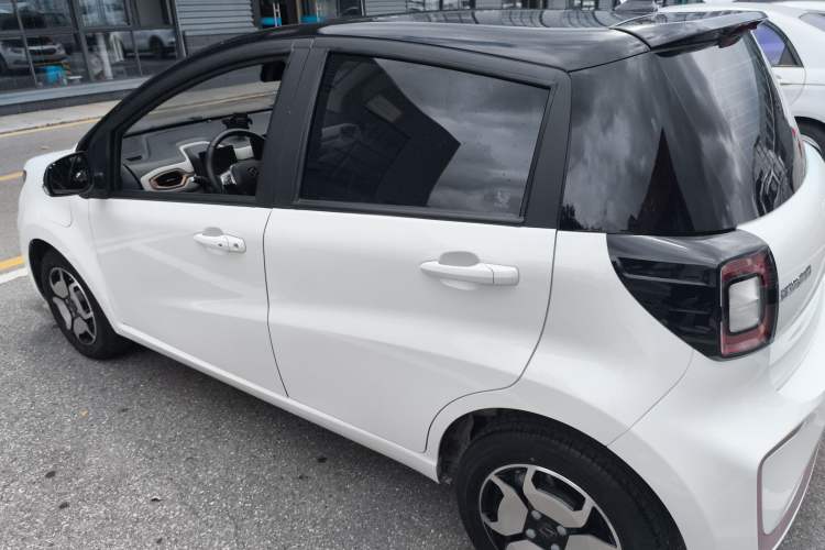 Used SOL E10X 2022 Flower Fairy Style Baby's Breath