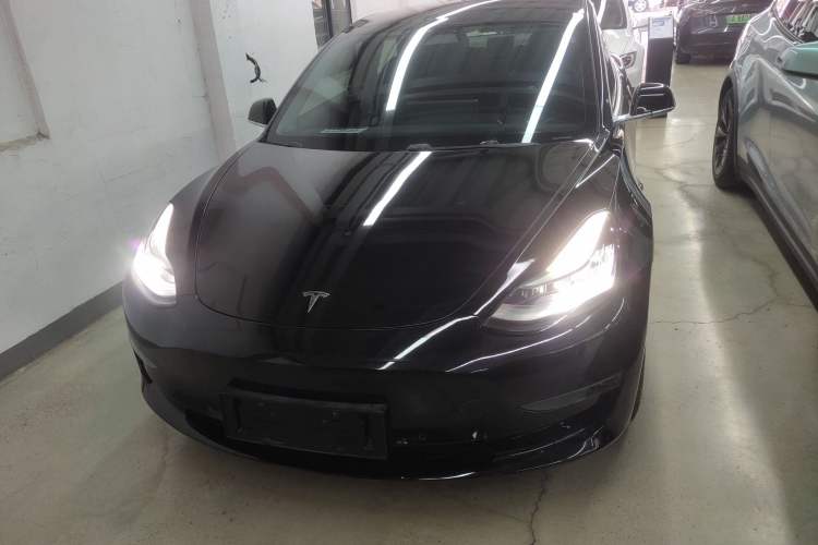 Used Tesla Model 3 (Import) 2019 Long-Range Rear-Wheel-Drive Version