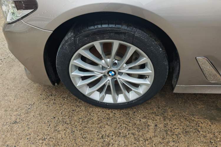 Used BMW 5 Series 2020 530Li Leading Edition Luxury Package
