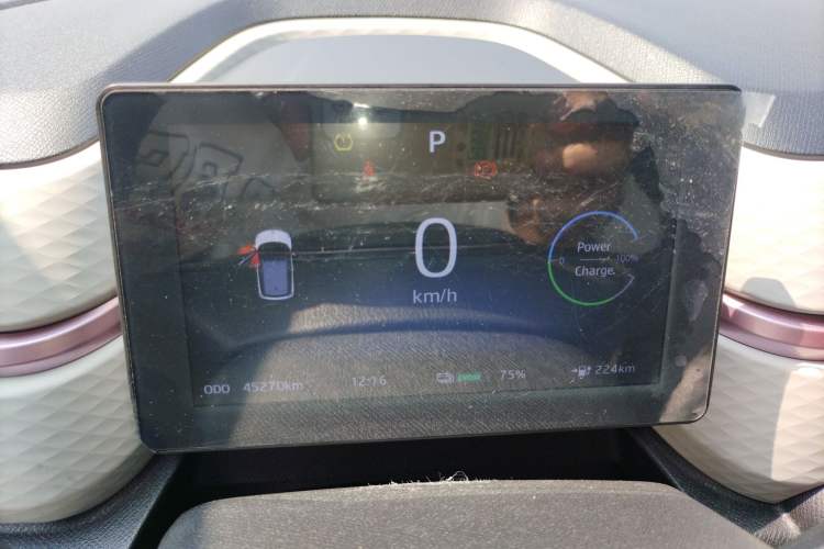 Used SOL E10X 2022 Flower Fairy Design Dandelion