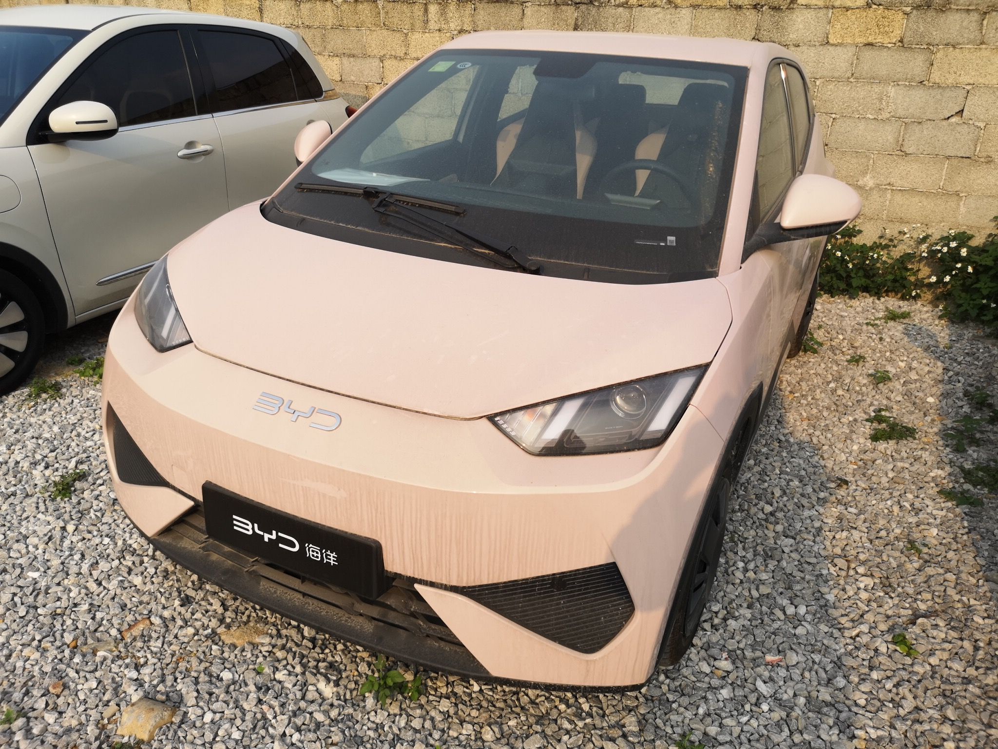 Parte inferior delantera