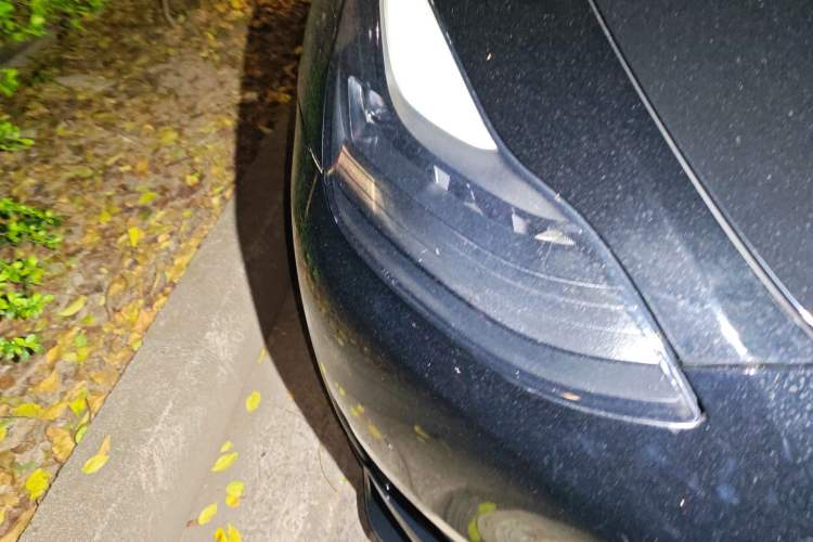 Used Tesla Model Y 2021 Standard Range Rear-Wheel Drive Version