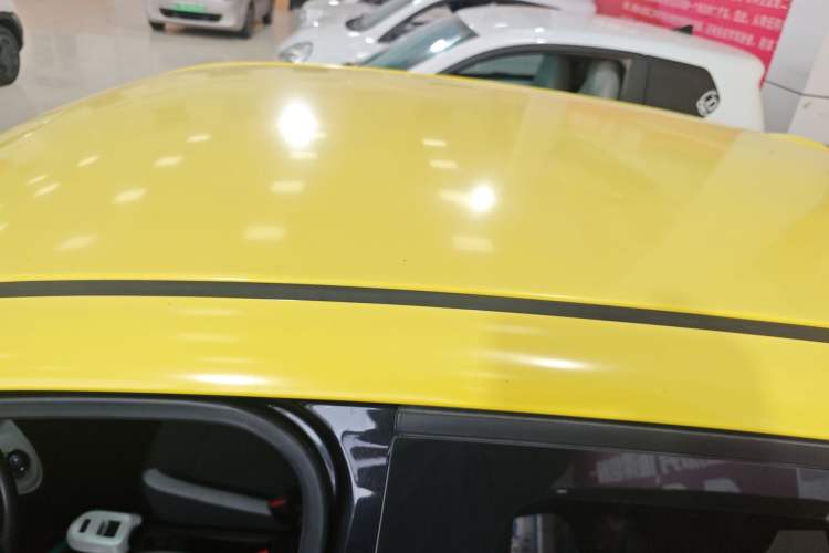 Used ORA Black Cat 2021 351 km Luxury Version Roof