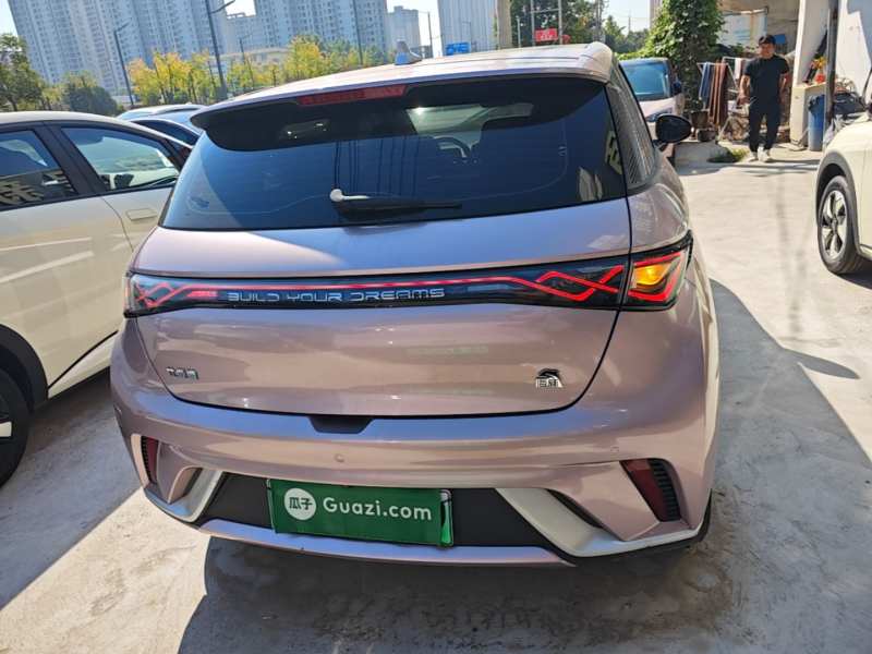 Used BYD Dolphin 2023 420 km Fashion Edition — 5