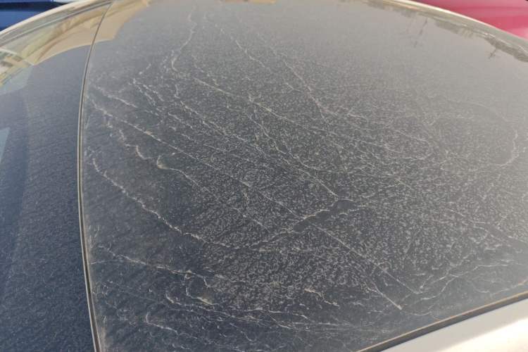 Used Tesla Model Y 2022 Performance High-Performance All-Wheel-Drive Version